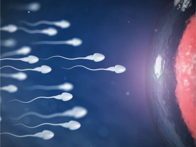 ZyMōt – o metodă inovativă în sprijinul tratamentului infertilității masculine